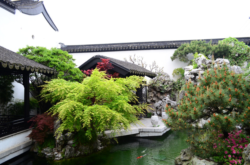 锦鲤与风水2.jpg